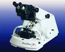 pt-xl
